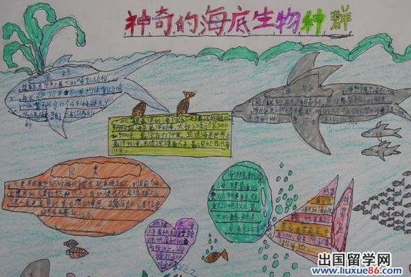 手抄报网为各位朋友们提供众多的生物手抄报等相关内容欢迎大家