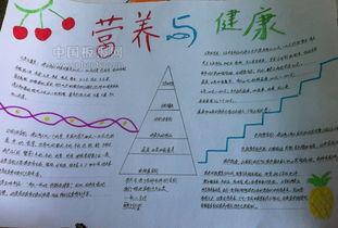 以营养午餐为主题的数学手抄报生活中的数学手抄报