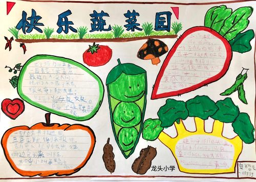 龙头小学1901班《一园青菜成了精》优秀手抄报展