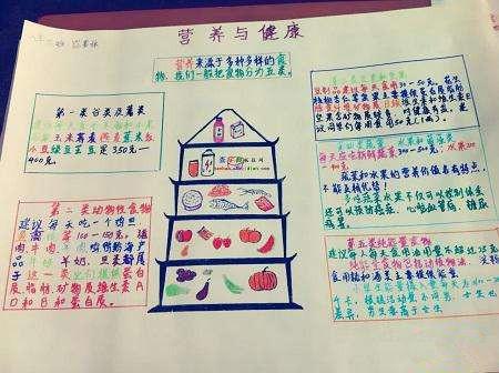 科学营养手抄报图片大全集