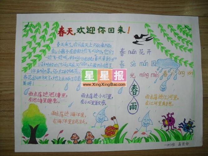 春雨手抄报小学生作品