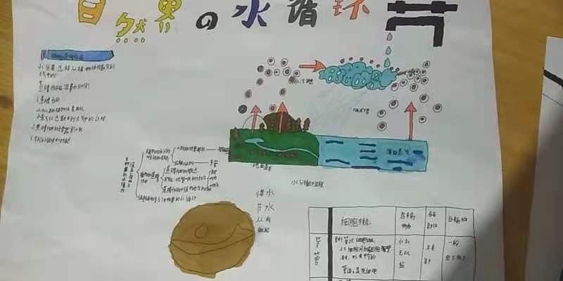 7年5班生物第四期手抄报蒸腾作用与水循环