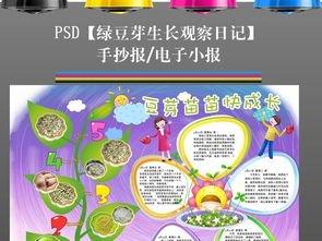 观察绿豆发芽日记手抄报 数学日记手抄报