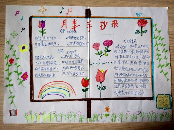 南阳市第十五小学东校区三二班月季花手抄报