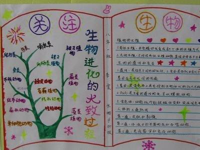 涉及植物三大生理作用的手抄报 小学生理财手抄报