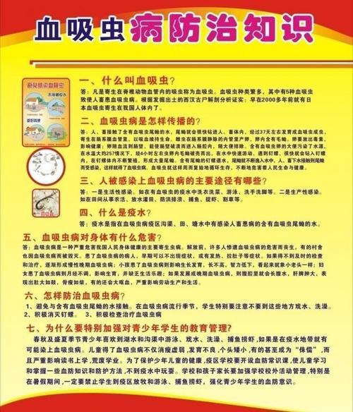 血吸虫病防治知识手抄报 知识手抄报