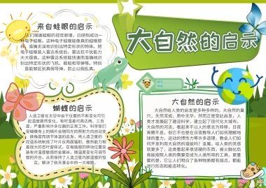 自然科学观察手抄报 自然手抄报