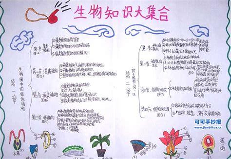 初一上册生物手抄报 生物手抄报-蒲城教育文学网