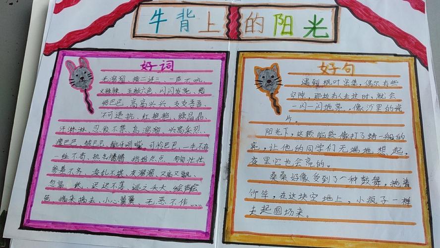 张店区兴学街小学三年级三班寒假读书手抄报部分作品展示指导老师袁