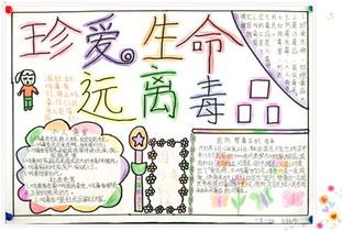 六年级小学生的禁毒手抄报小学生的手抄报