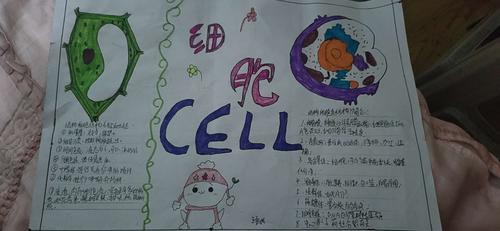 七年五班第一期生物手抄报显微镜与细胞
