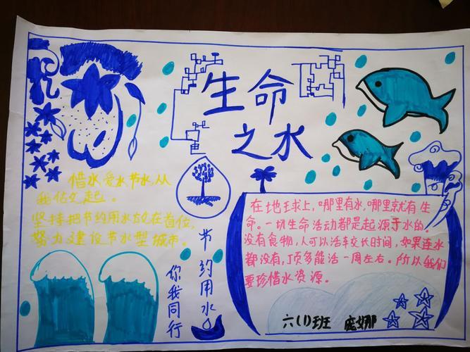 固原市实验小学六年级生命之水手抄报水是生命之源让我们节约用水五