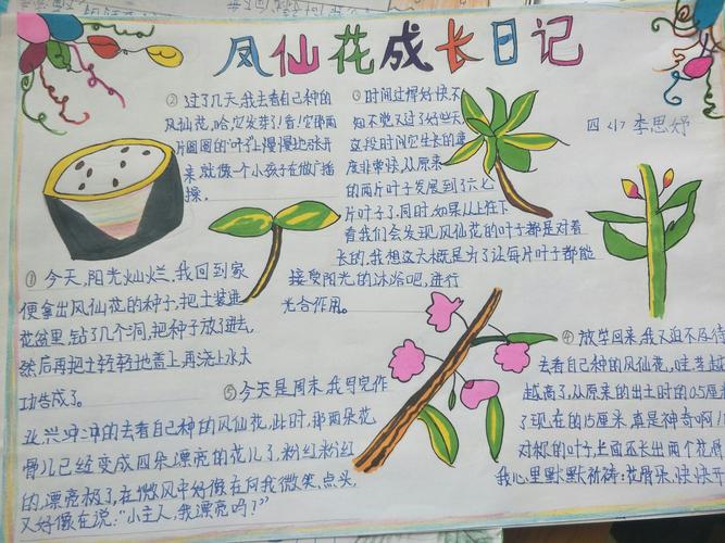 濮阳市油田第六小学四1班观察植物手抄报