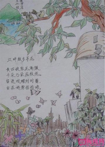 江畔独步寻花诗配画手抄报 诗配画手抄报-蒲城教育文学网