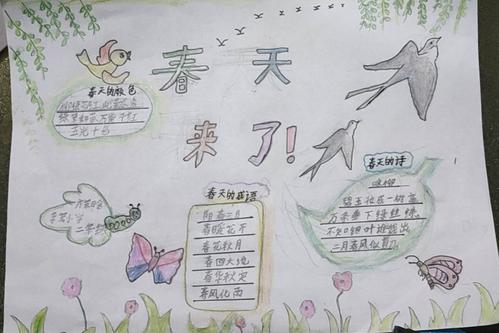 学习了《找春天》《村居》《咏柳》完成了一幅春天来了的手抄报.