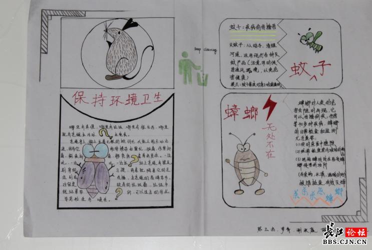 除四害讲卫生中的除四害手抄报小学生中秋手抄报