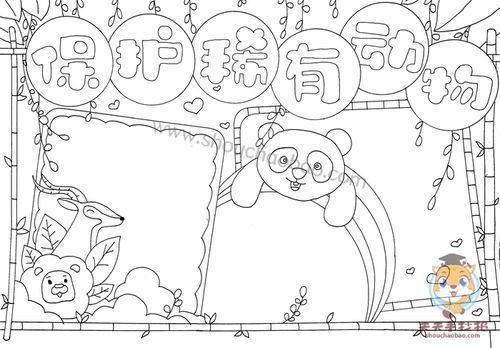保护稀有动物手抄报图片保护稀有动物手抄报简单又漂亮