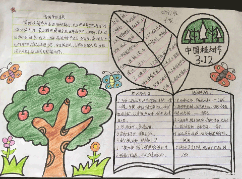 植树节手抄报图画大全植树节手抄报大全图片集