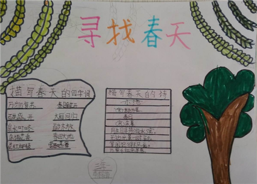 春天的手抄报小学生特别8张