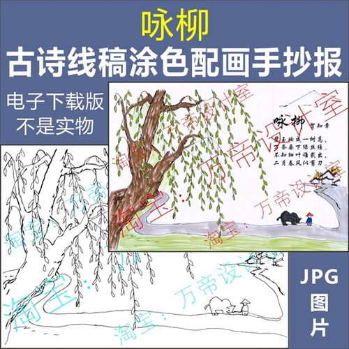 纯手绘咏柳古诗配画手抄报模板小学生唐诗宋词配图涂色空白线描稿