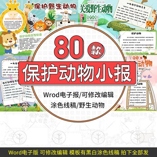 保护野生动物人人有责电子小报模板关爱珍稀动物word手抄报线稿素