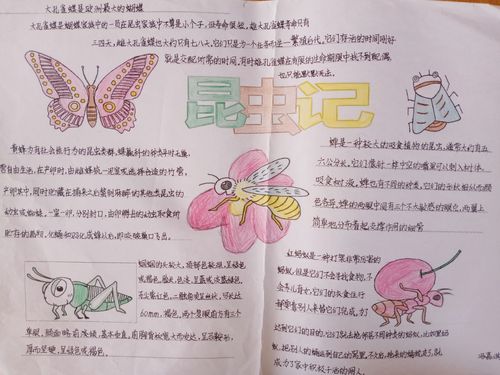 书写生活 描绘生命记八年级全体学生《昆虫记》手抄报成果评比