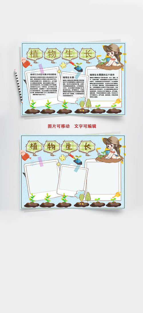 可爱卡通植物生长知识手抄报word文档