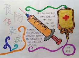 四年级卫生防疫手抄报四年级手抄报
