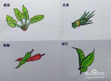 种植油菜和菠菜手抄报手抄报版面设计图