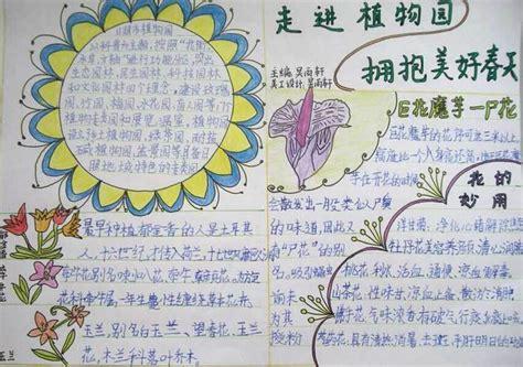 关于小学生动植物手抄报 小学生手抄报