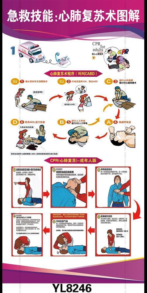cpr的流程手抄报 手抄报简单又漂亮急救包扎止血手抄报 世界急救日手