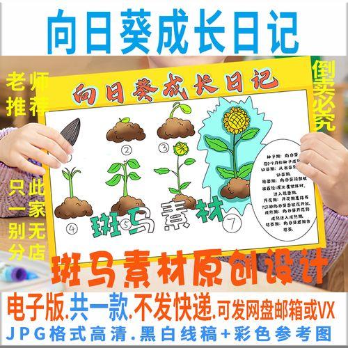 向日葵成长观察日记手抄报数学日记手抄报