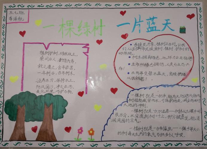 一棵绿树一片蓝天濮阳市实验小学五7班手抄报展示