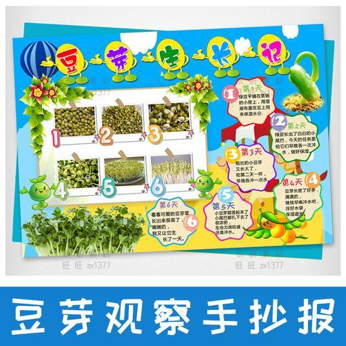 植物观察日记红豆手抄报数学日记手抄报