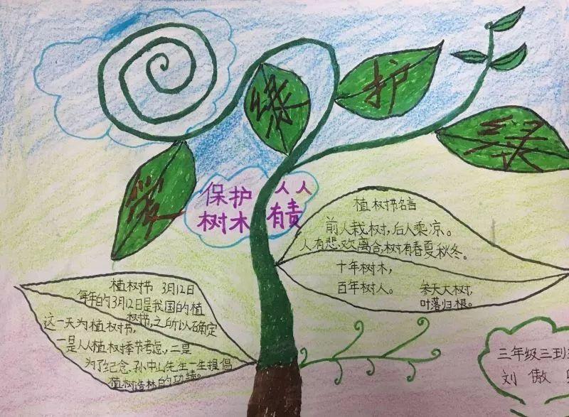 含内容的小学生植树节手抄报简单又漂亮老师布置的作业不用愁