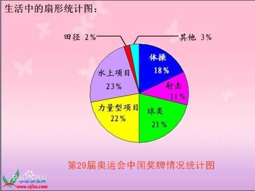 春节开支扇形统计图手抄报春节手抄报