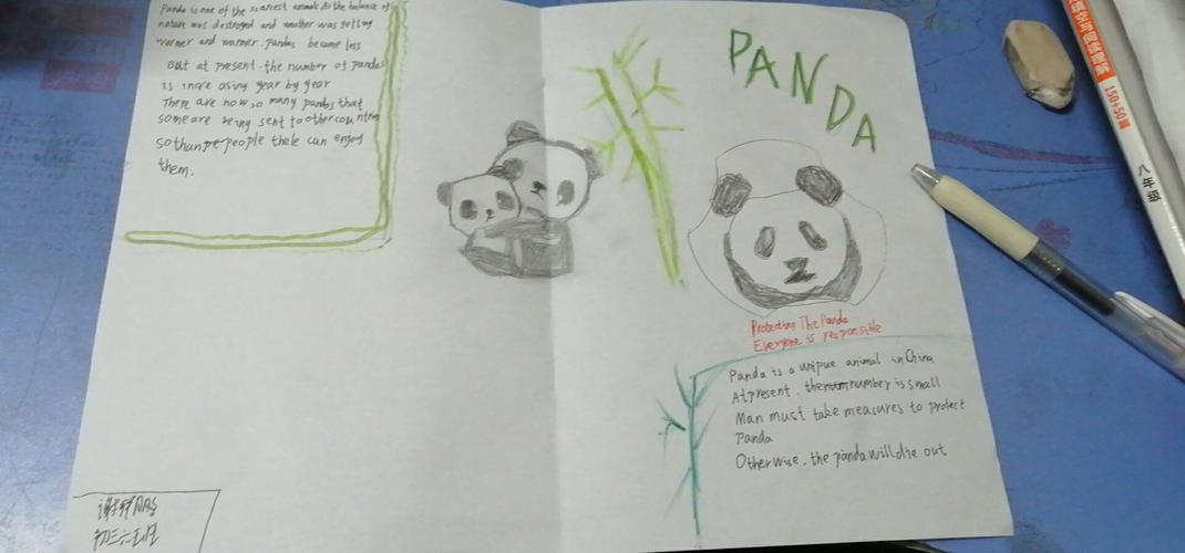 初三六班手抄报风采展 panda