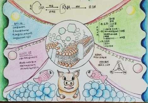 其它 科尔沁实验初中七年十七班地生手抄报第一期 写美篇细胞生物学是