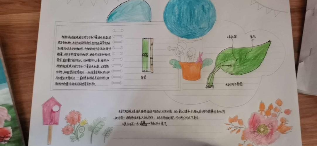 7年5班第五期生物手抄报光合作用