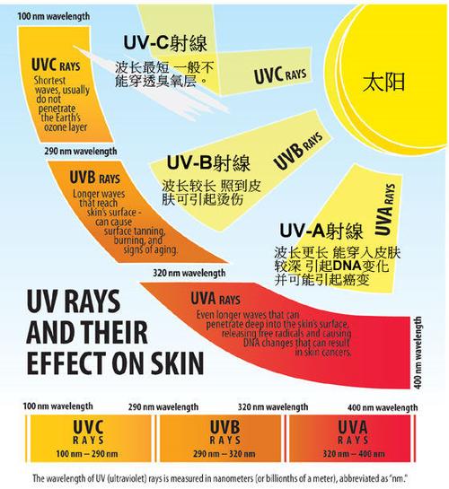 保护地球手抄报图片3p专题手抄报