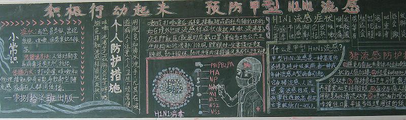 关于病毒传染简单的手抄报 简单的手抄报