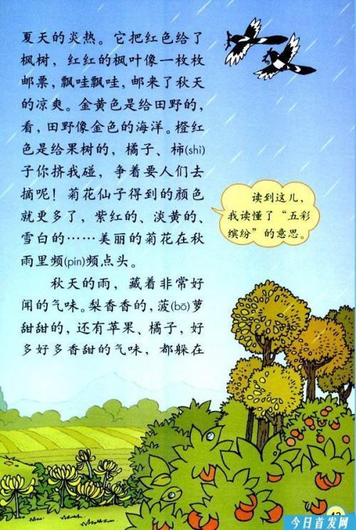 三年级课文秋天的雨手抄报秋天的手抄报