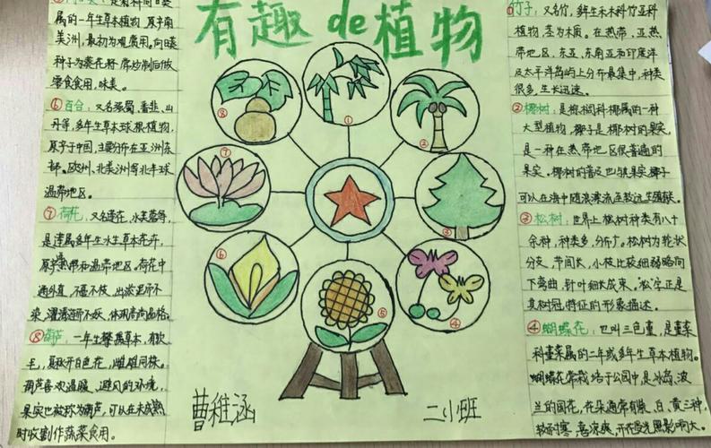 观察植物生长过程图片手抄报植物手抄报