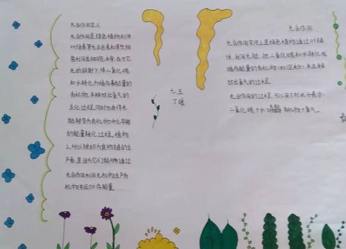 7年5班第五期生物手抄报光合作用