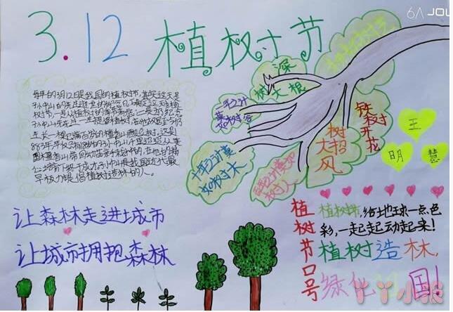 小学生植树节手抄报版面设计图简单又漂亮获奖