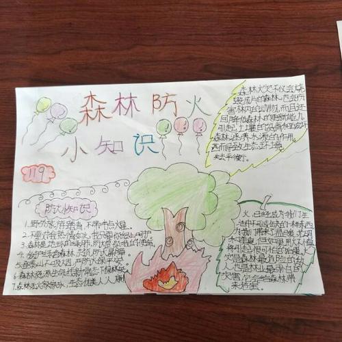 森林防火手抄报加强学生对火灾的认识提高防范意识