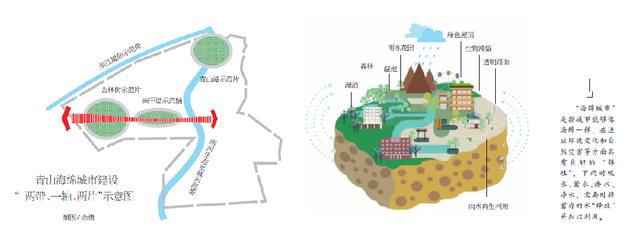 制造海绵城市手抄报 卫生城市手抄报