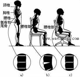 良好坐姿保护脊椎的手抄报 保护手抄报