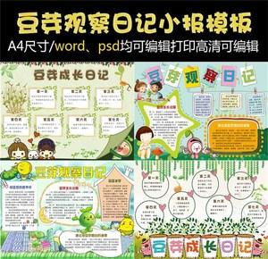 981人付款天猫豆芽植物成长观察日记电子小报模板word手抄报涂色线稿