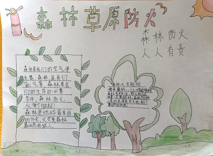 森林防火有你有我河东镇大嵩小学手抄报评比比赛